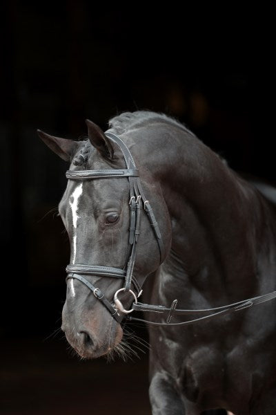 Covalliero Trensenzaum Classic