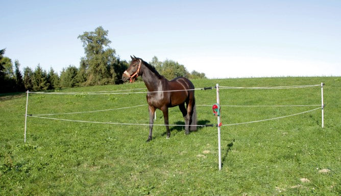 Turnier-/Paddock Set 7 x 7 m