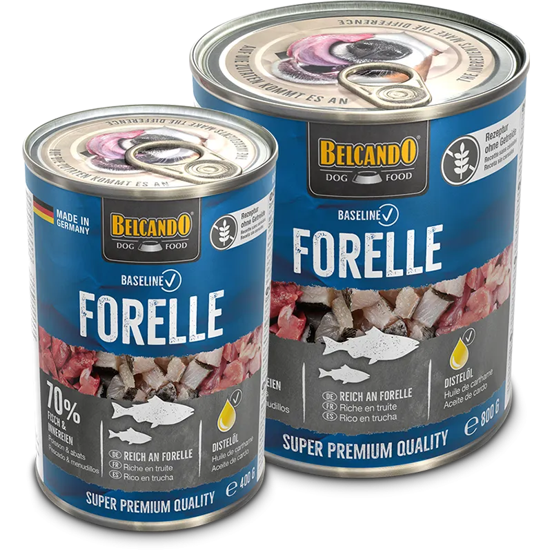 Belcando Forelle