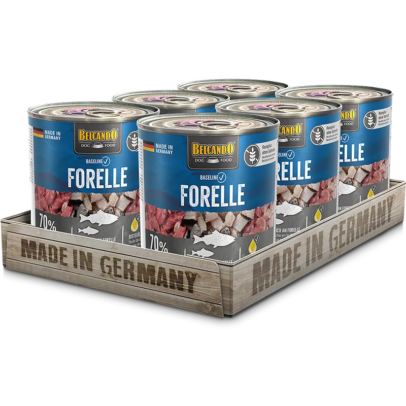 Belcando Forelle