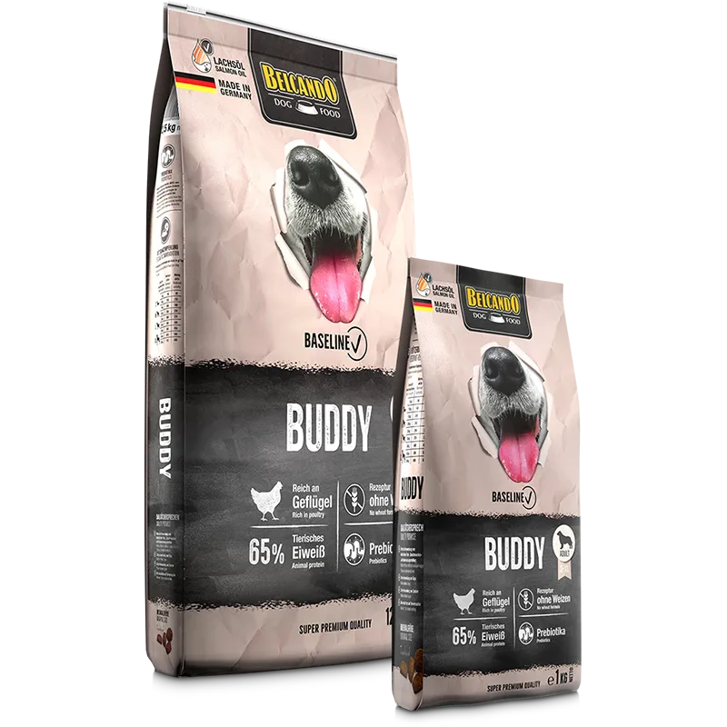 BUDDY