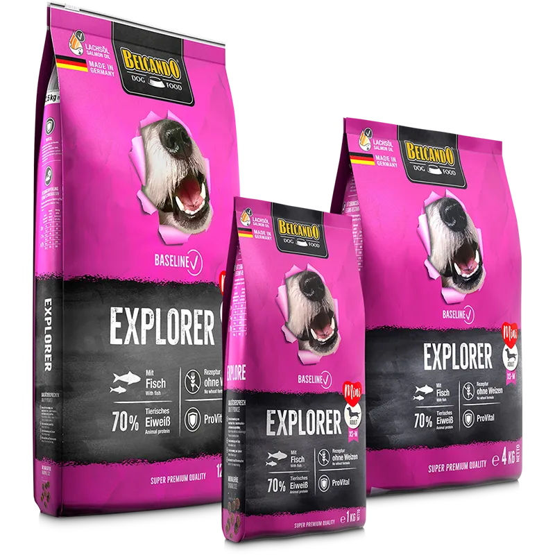 EXPLORER