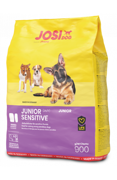 Junior Sensitive