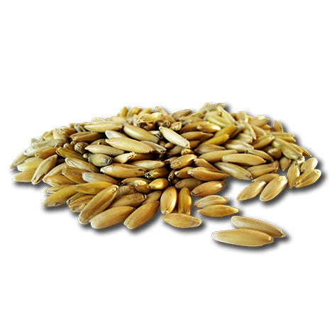 Pavo Goldhafer 20kg