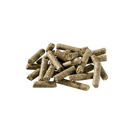 BasicPlus 20kg