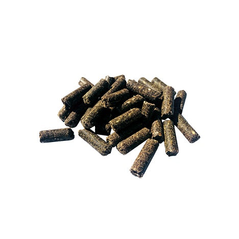 Performance 20kg
