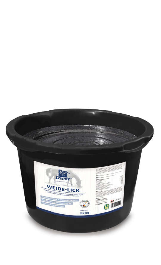 Derby WEIDELICK 60kg