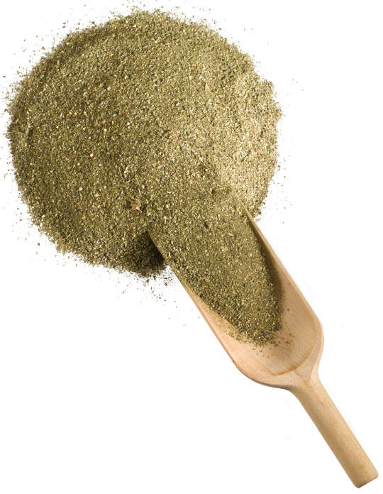 Derby GASTRO-MASH 12,5kg