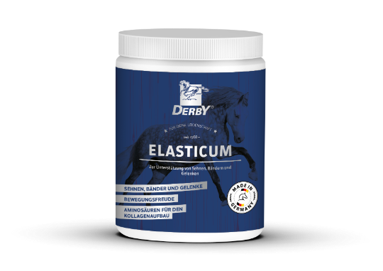 Derby ELASTICUM 700g