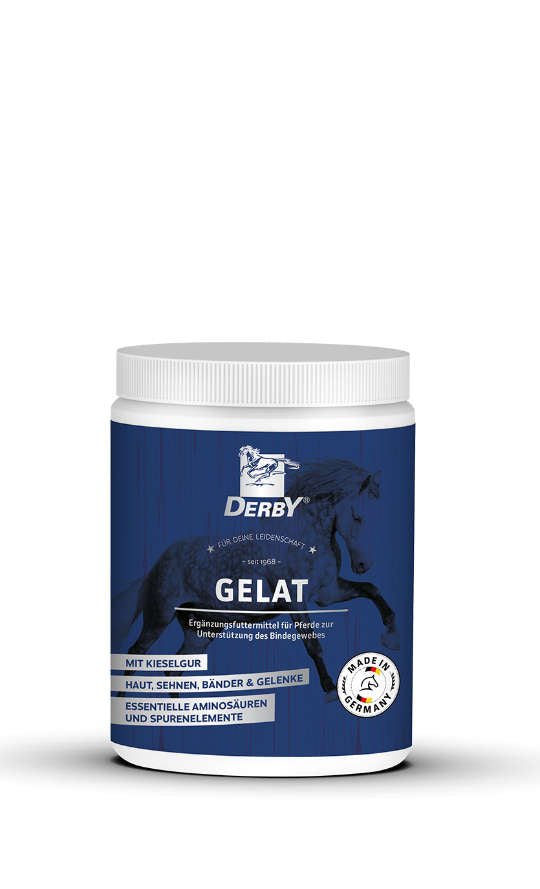 Derby GELAT 700g