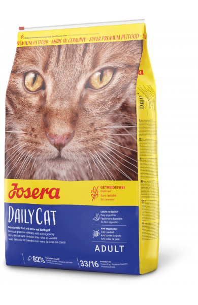 DailyCat