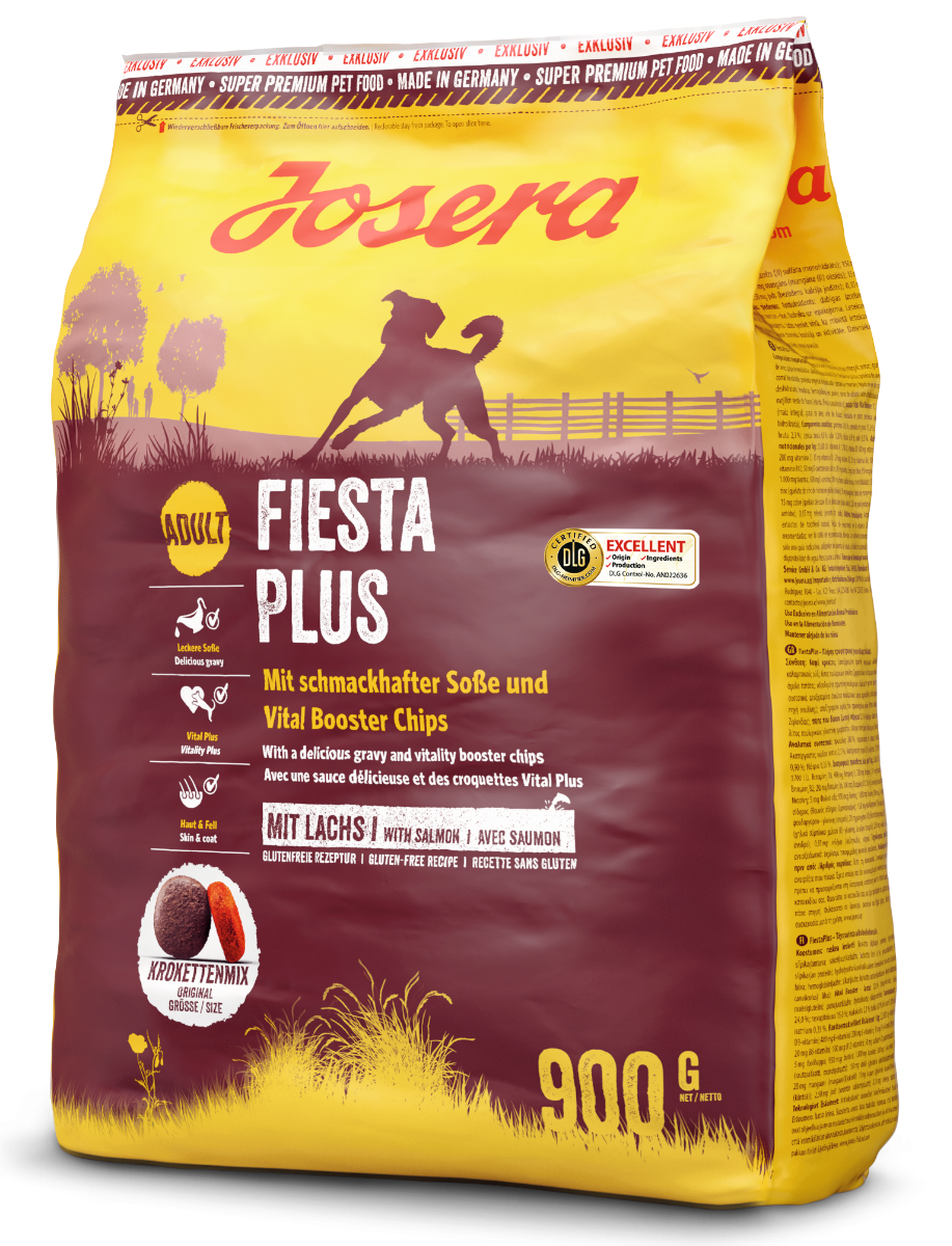 Fiesta Plus