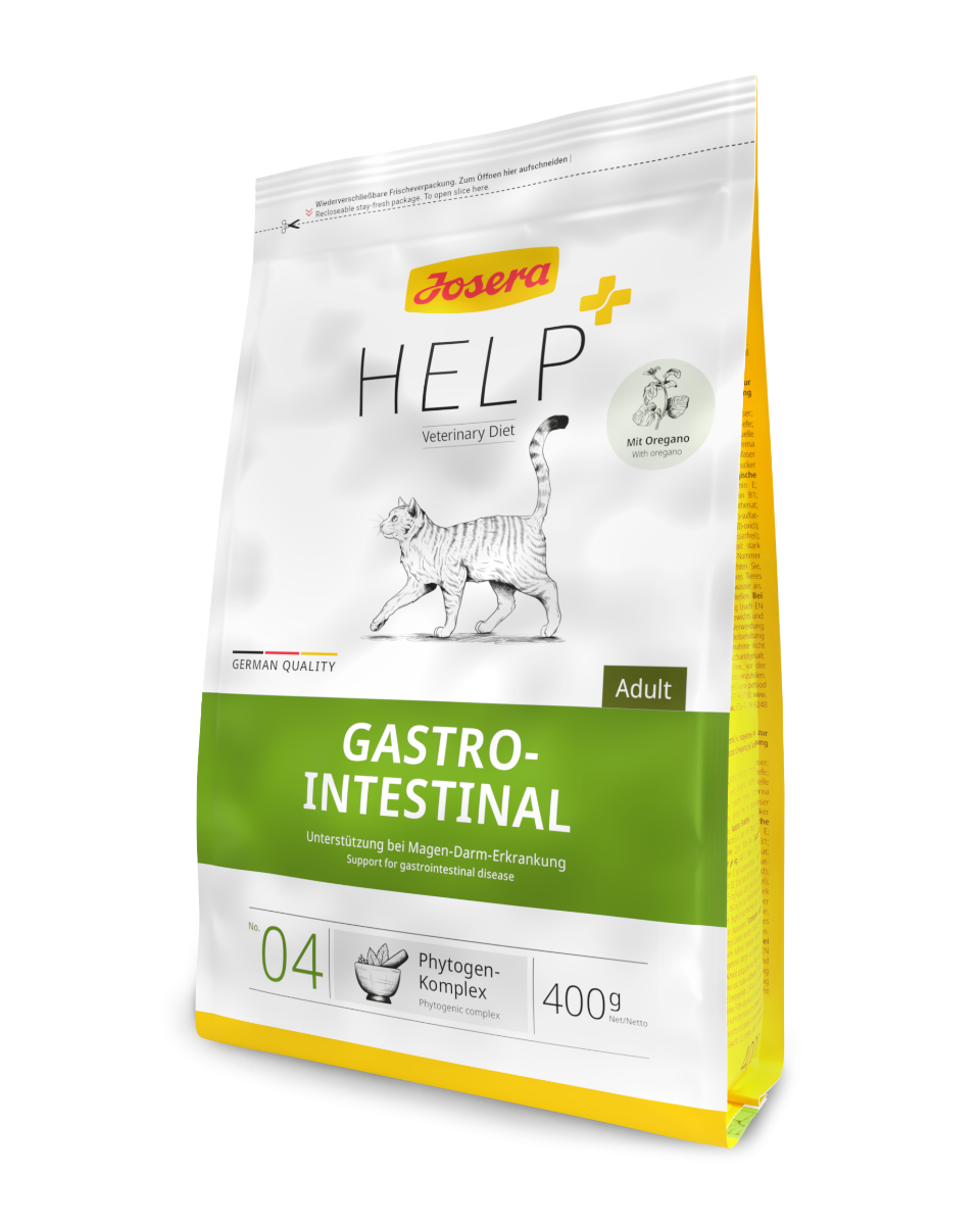 Help Gastrointestinal Katze