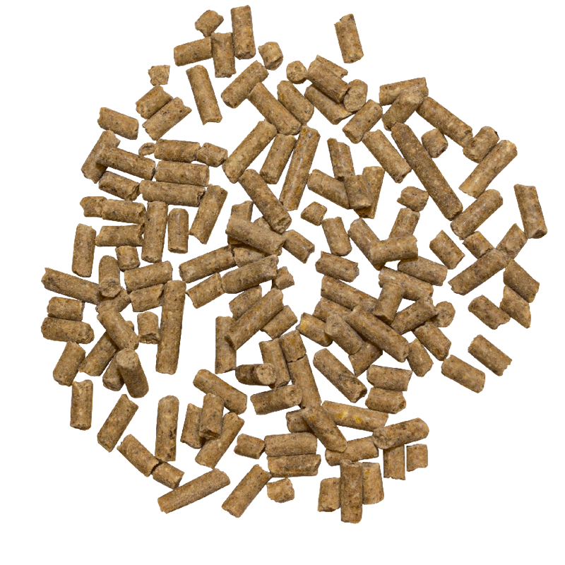 Amino-Muskel Plus 3,5kg