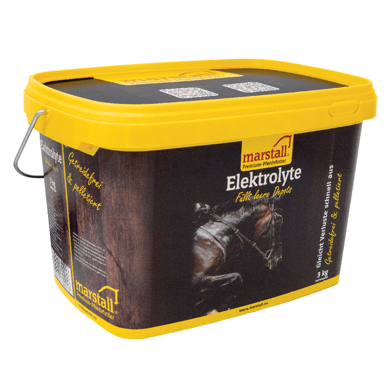 Elektrolyte