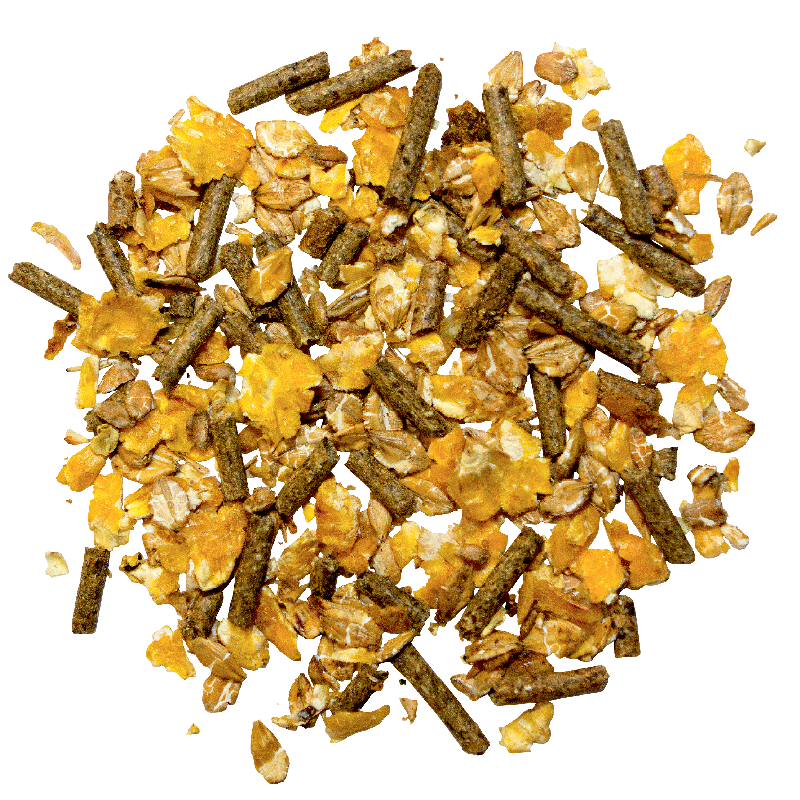 Freizeit 20kg