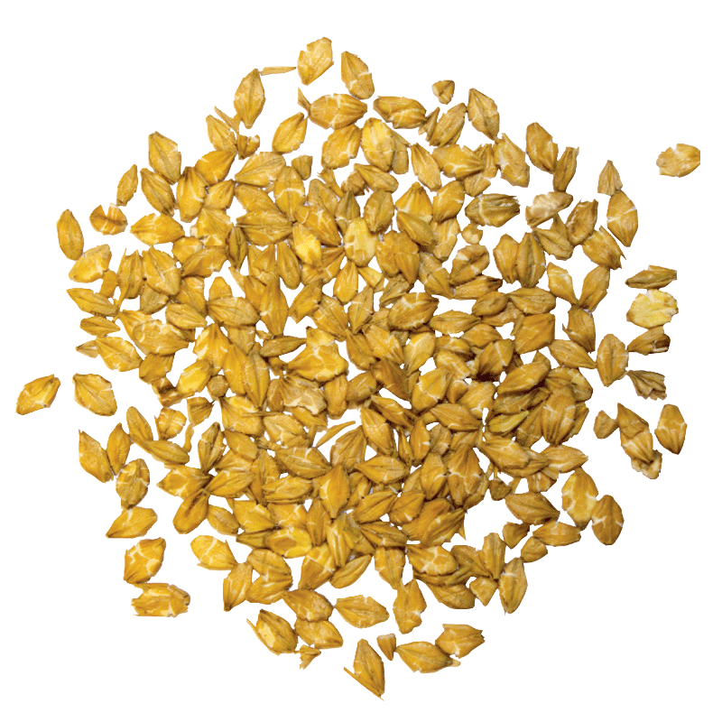 Naturgold Gersteflocken 20kg