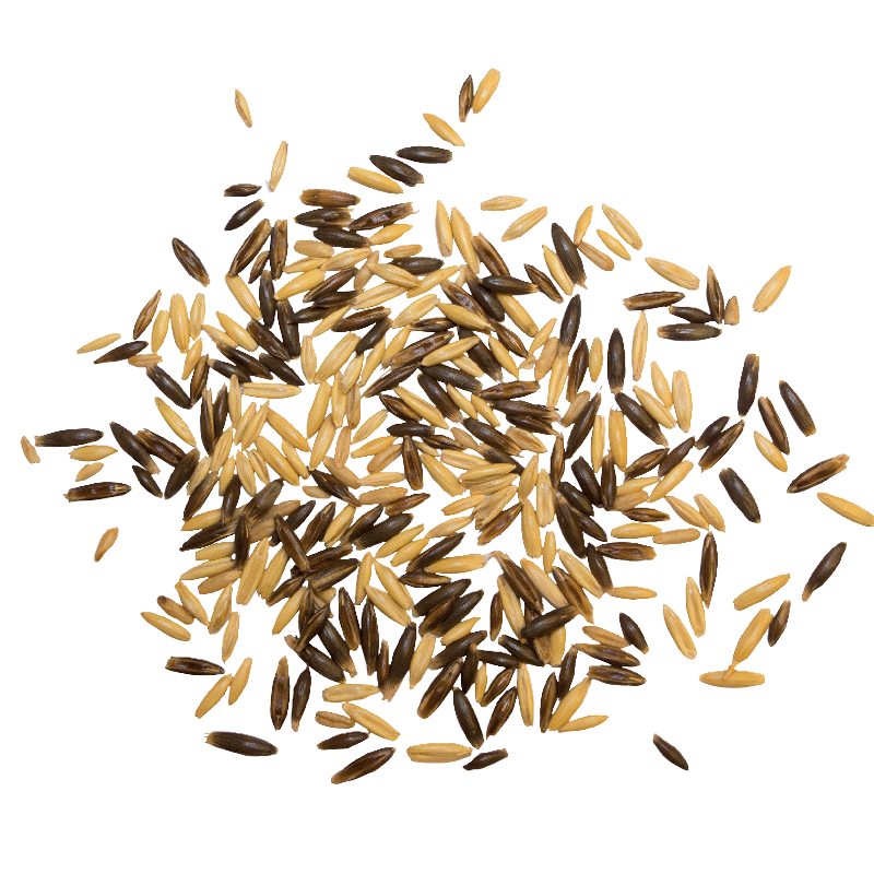Naturgold Schwarz-Gold-Hafer 25kg