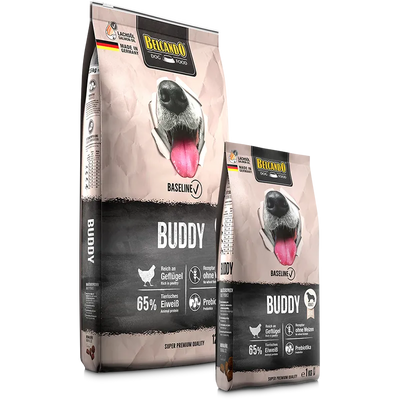 BUDDY