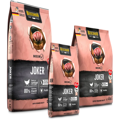 JOKER