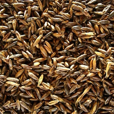Schwarzhafer 20kg