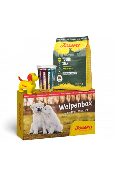 Welpenbox Youngstar
