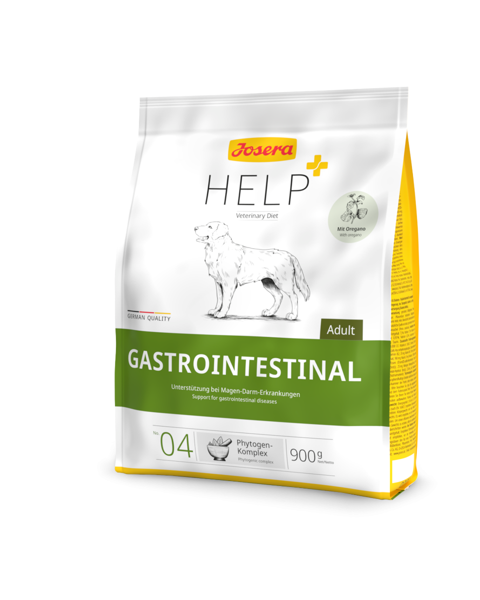 Help GastroIntestinal Hund