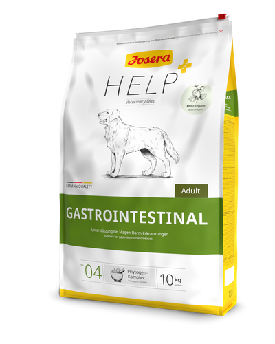 Help GastroIntestinal Hund