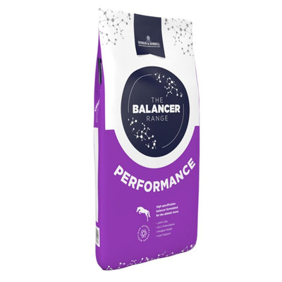 Performance Balancer 15kg