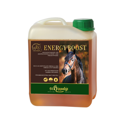WES Energy Boost 5l