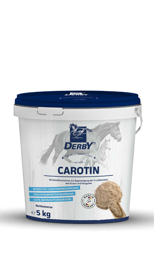 Derby CAROTIN 5kg
