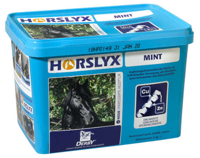 HORSLYX LECKMASSE MINT
