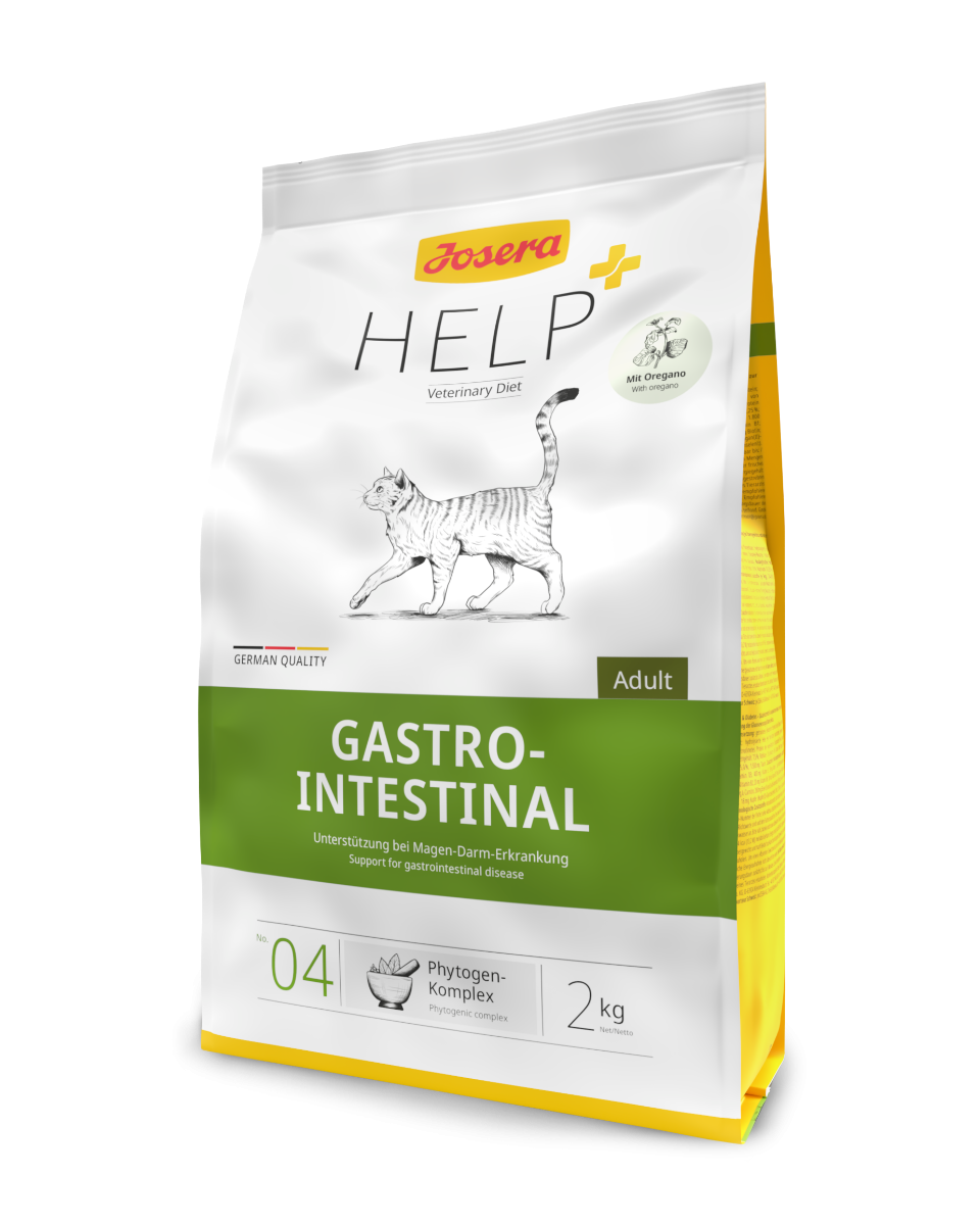 Help Gastrointestinal Katze
