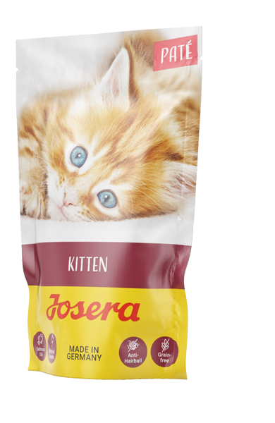 Paté Kitten