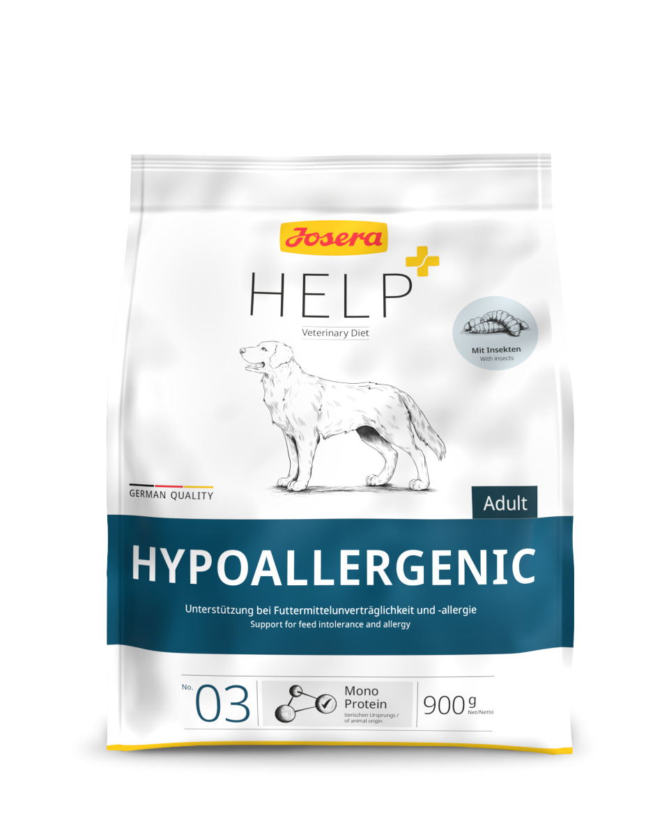 Help Hypoallergenic Hund