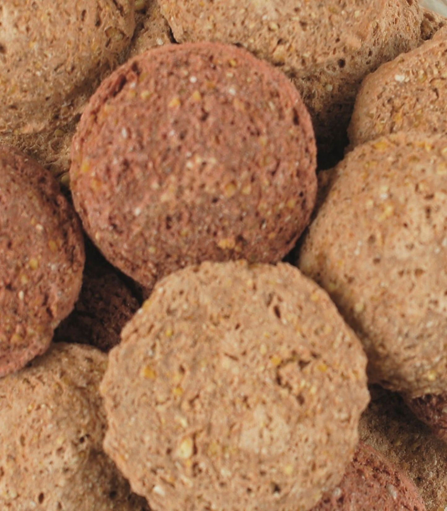 Pferdekräcker Karotte & Rote Beete 1kg