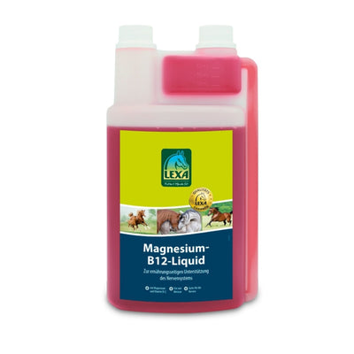 Magnesium-B12-Liquid 1L