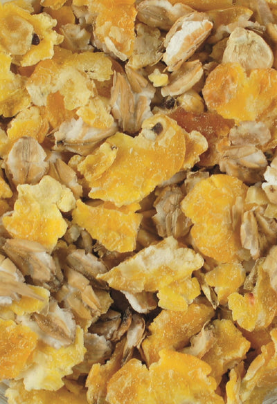 Vital Flocken Mix 20kg